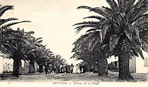 Ain-Taya - Avenue de la Plage